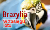 Brazylia - w zasięgu lotu