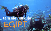Egipt - tam si� nurkuje