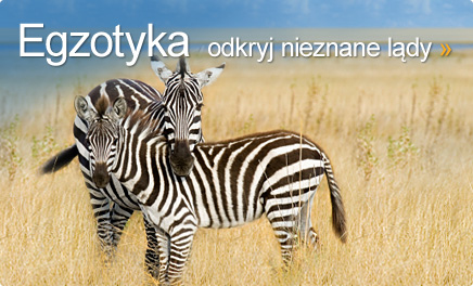 Egzotyka na wyci�gni�cie d�oni