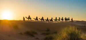 Karawana wielbłądów na pustyni - Traveligo Blog
