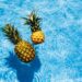 Dwie ananasy w basenie - Traveligo Blog