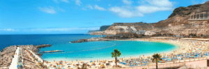 Plaża z palmami i ludźmi - Traveligo Blog