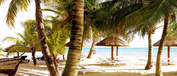 Plaża z palmami, parasolami i łódkami - Traveligo Blog