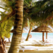 Plaża z palmami, parasolami i łódkami - Traveligo Blog