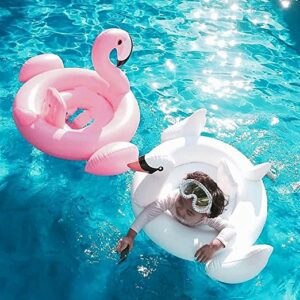 Różowy flamingo i biała łabędź na basenie - Traveligo Blog