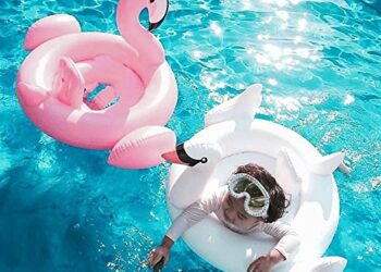 Różowy flamingo i biała łabędź na basenie - Traveligo Blog