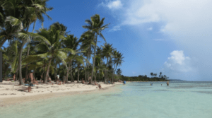 Plaża z palmami na Gwadelupie - Traveligo Blog
