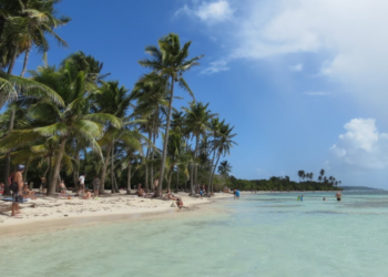 Plaża z palmami na Gwadelupie - Traveligo Blog