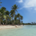 Plaża z palmami na Gwadelupie - Traveligo Blog