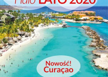 Plaża, morze, palmy - Traveligo Blog