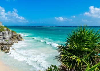 Zielona roślinność, turkusowa woda, plaża, skały - Traveligo Blog