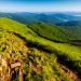 Góry, doliny, lasy - Traveligo Blog