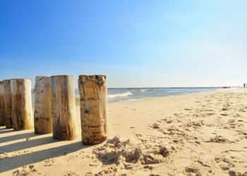 Drewniane pale na piaszczystej plaży nad Morzem Bałtyckim. Traveligo Blog