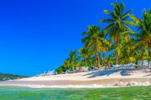 Palmy plaża, turkusowe wody. Traveligo Blog