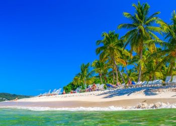 Palmy plaża, turkusowe wody. Traveligo Blog