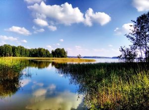 Jezioro, drzewa, niebo, chmury - Traveligo Blog