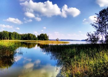 Jezioro, drzewa, niebo, chmury - Traveligo Blog
