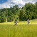 Zielona, górska sceneria z jazydącymi na rowerach ludźmi - Traveligo Blog