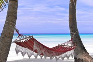Dwie palmy, hamak obok plaży. Traveligo Blog