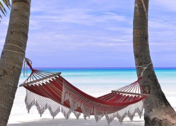 Dwie palmy, hamak obok plaży. Traveligo Blog