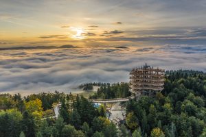 Wieża widokowa w lesie na tle zachodzącego słońca. Traveligo Blog