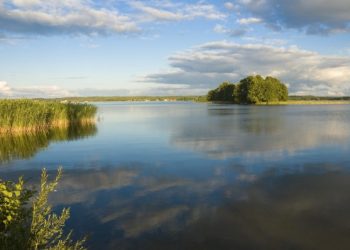 Jezioro, wyspa, trzciny - Traveligo Blog