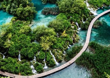 Lasy i jeziora błękitne. Traveligo Blog