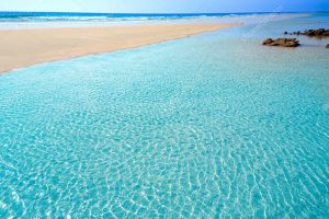 Piękna, piaszczysta plaża i krystalicznie czysta woda - Traveligo Blog