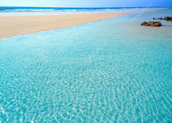 Piękna, piaszczysta plaża i krystalicznie czysta woda - Traveligo Blog