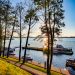 Drzewa, łodzie, jezioro, brzeg - Traveligo Blog