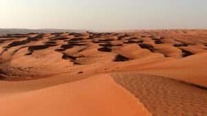 Oman last minute