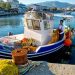 Samos wakacje
