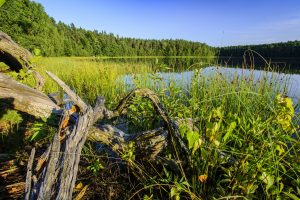 Mazury na wakacje