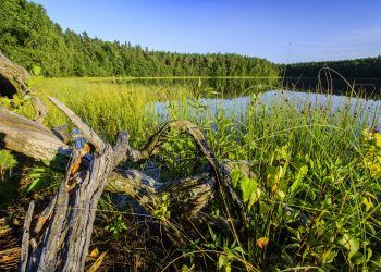 Mazury na wakacje