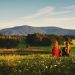 Rychlebske hory. fot. Bara Vavrova_shutterstock