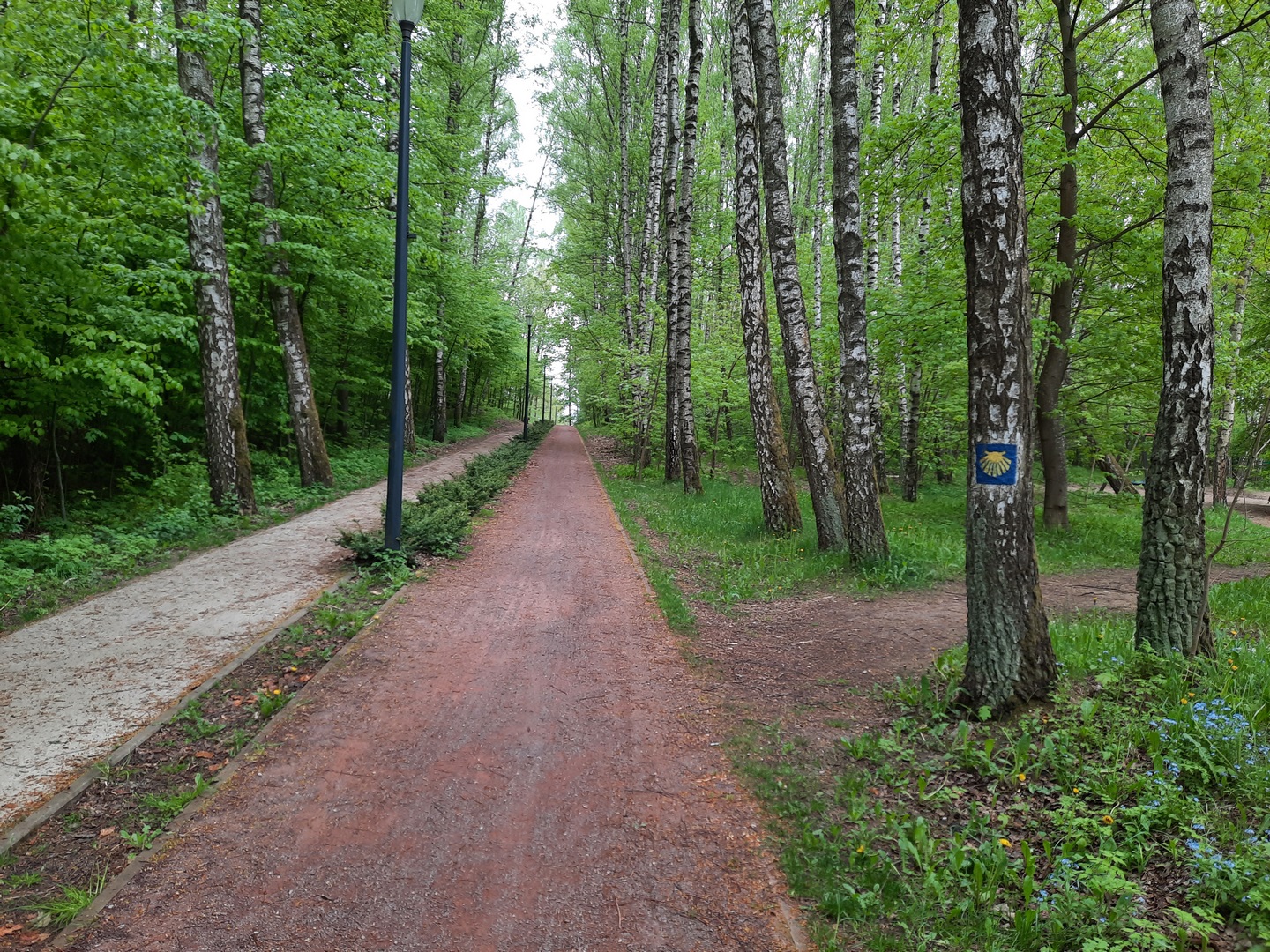 Szlak Jakubowy