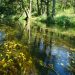 Krutynia - arch. Mazury PTTK