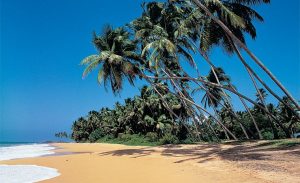 Sri Lanka last minute
