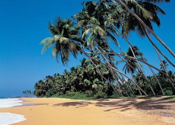 Sri Lanka last minute