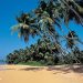 Sri Lanka last minute