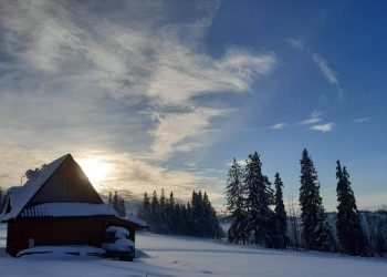 Budynek w lesie, pokryty śniegiem, wśród wysokich drzew. Traveligo Blog