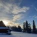 Budynek w lesie, pokryty śniegiem, wśród wysokich drzew. Traveligo Blog