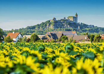 Zielone wzgórza, zamek na szczycie, pola słoneczników - Traveligo Blog