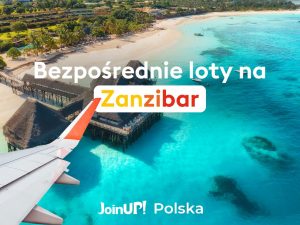 Samolot, plaża, woda, palm - Traveligo Blog