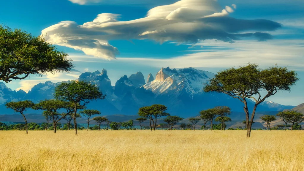 Kenia last minute