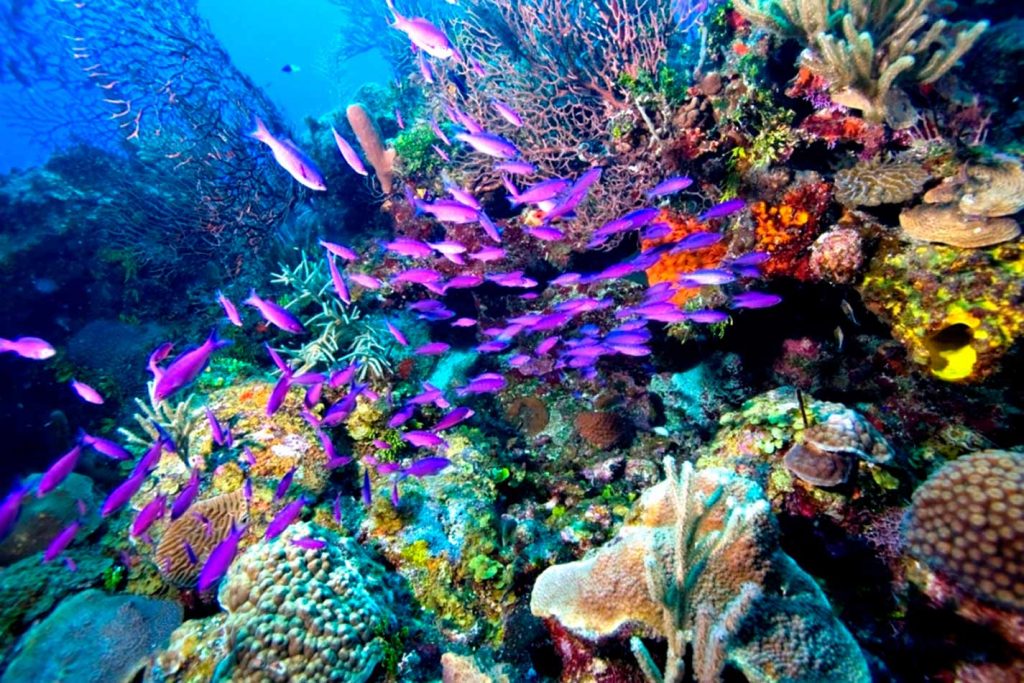 Sharm el Sheikh wakacje