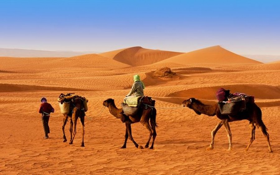 oferty last minute do Sharm el Sheikh