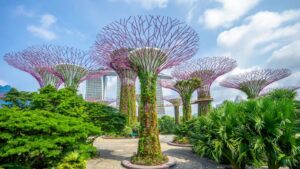 Singapur wakacje