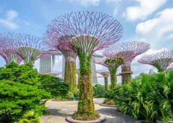 Singapur wakacje