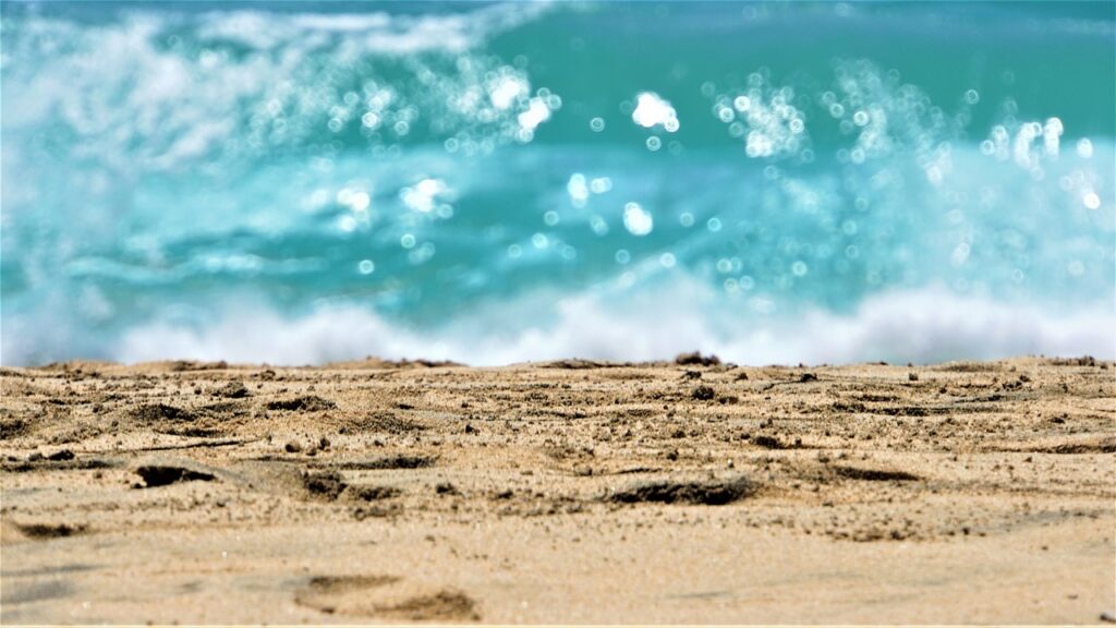 Fuerteventura last minute